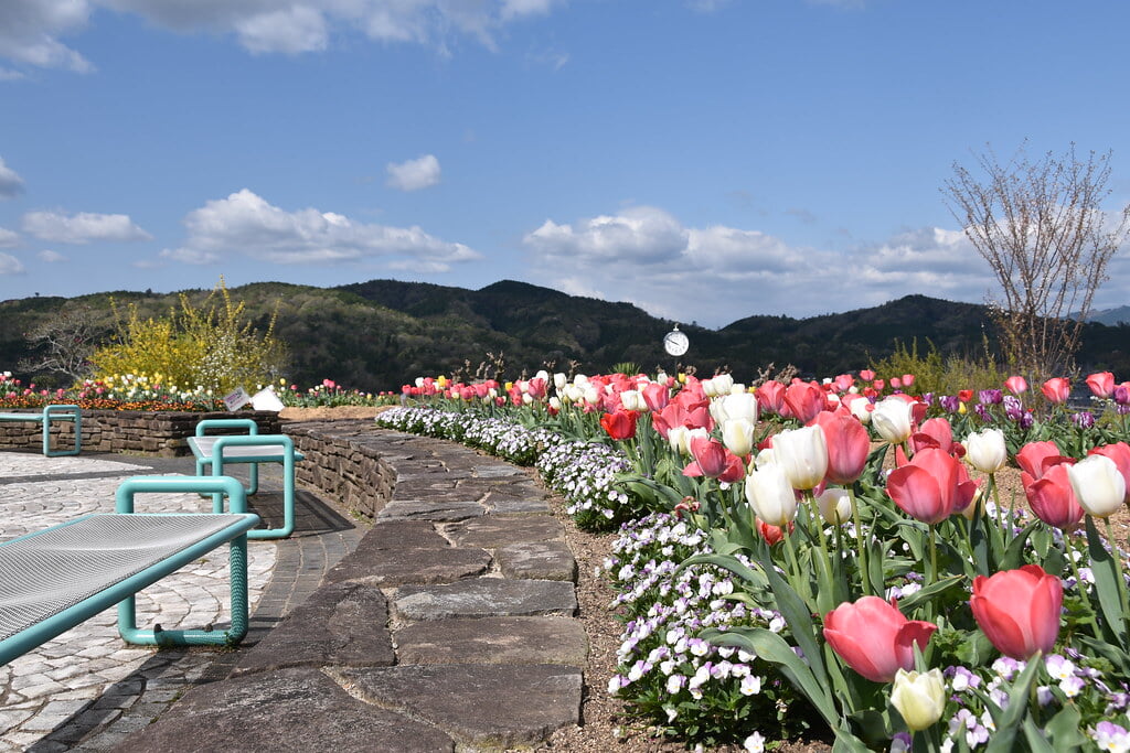 グリーンヒルズ津山の写真 ©津山市立図書館 Public Library of Tsuyama(CC BY 2.0)