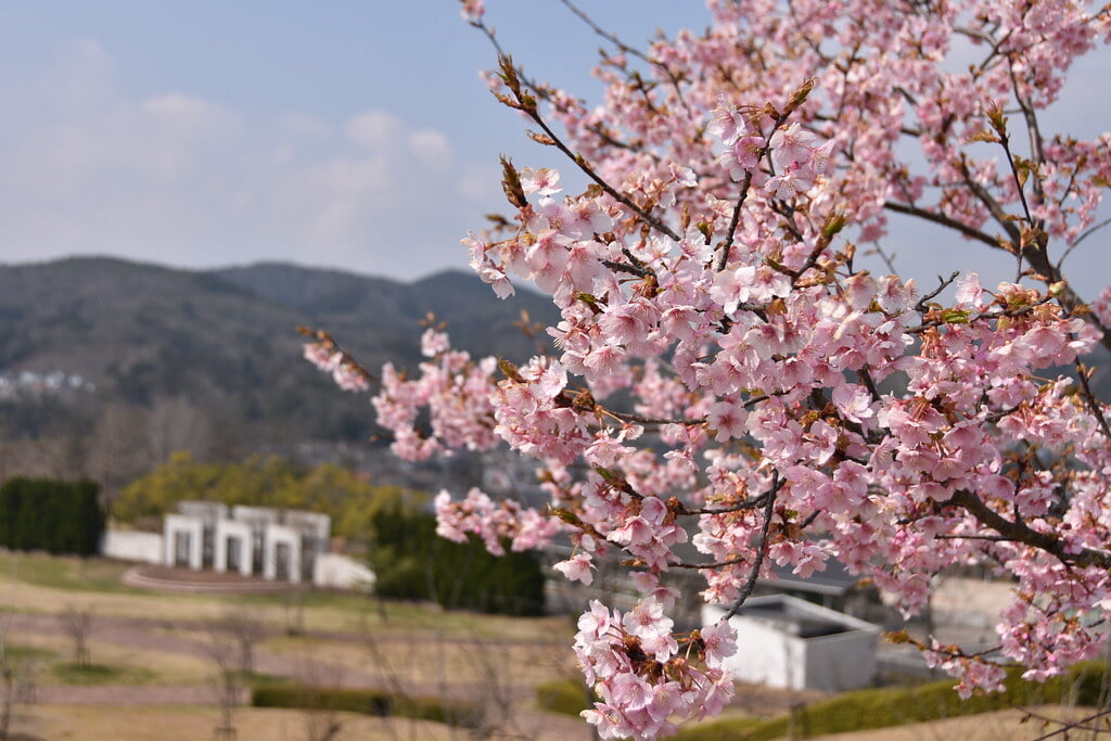 グリーンヒルズ津山の写真 ©津山市立図書館 Public Library of Tsuyama(CC BY 2.0)