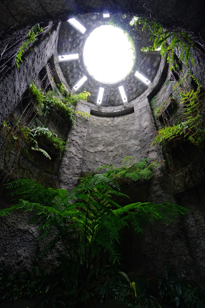 高知県立牧野植物園の写真 ©663highland(CC BY-SA 4.0)