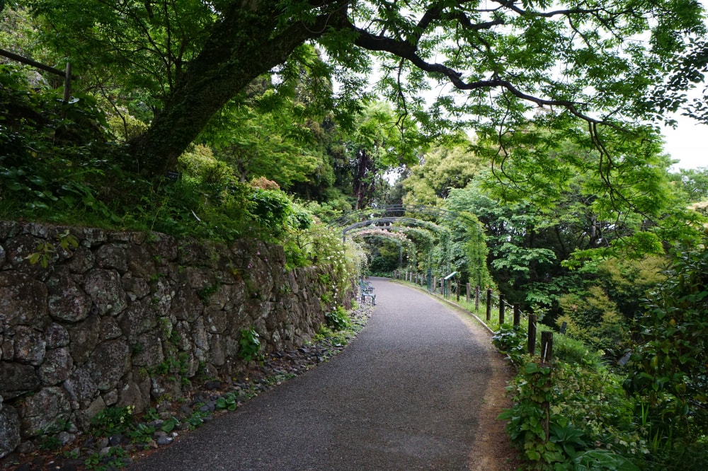 高知県立牧野植物園の写真 ©663highland(CC BY-SA 4.0)