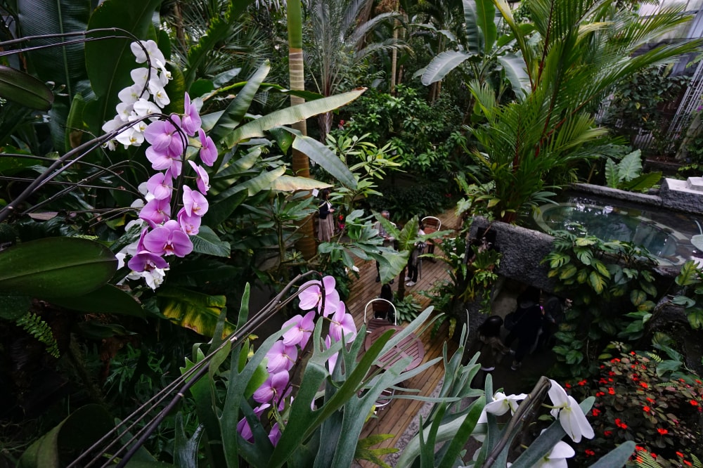 高知県立牧野植物園の写真 ©663highland(CC BY-SA 4.0)