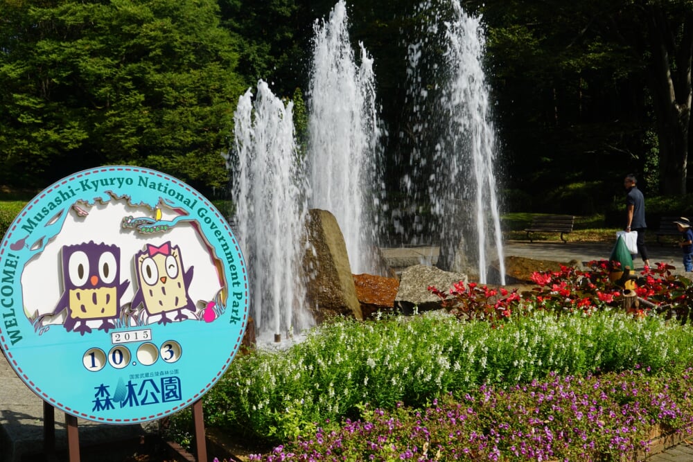 国営武蔵丘陵森林公園の写真 