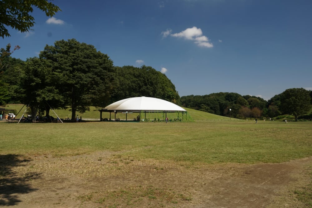 国営武蔵丘陵森林公園の写真 