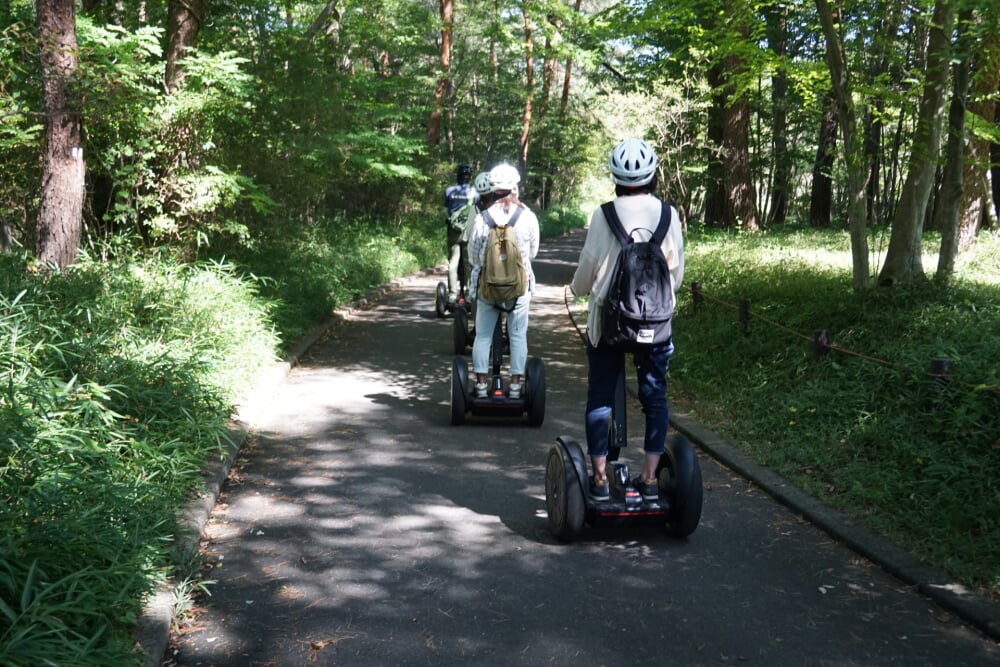 国営武蔵丘陵森林公園の写真 