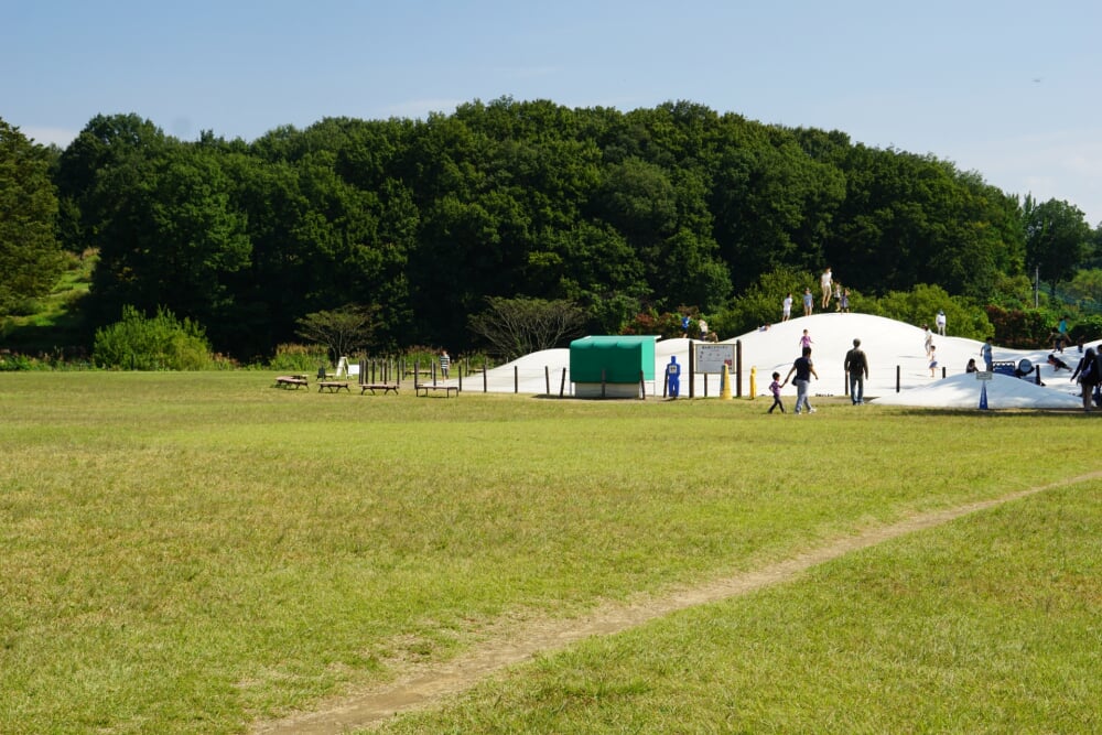 国営武蔵丘陵森林公園の写真 