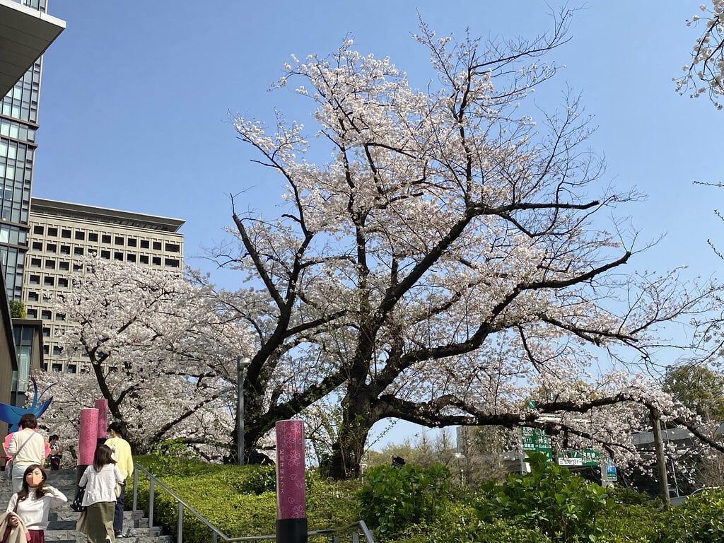 東京ガーデンテラス紀尾井町の写真 ©yto(CC BY 2.0)