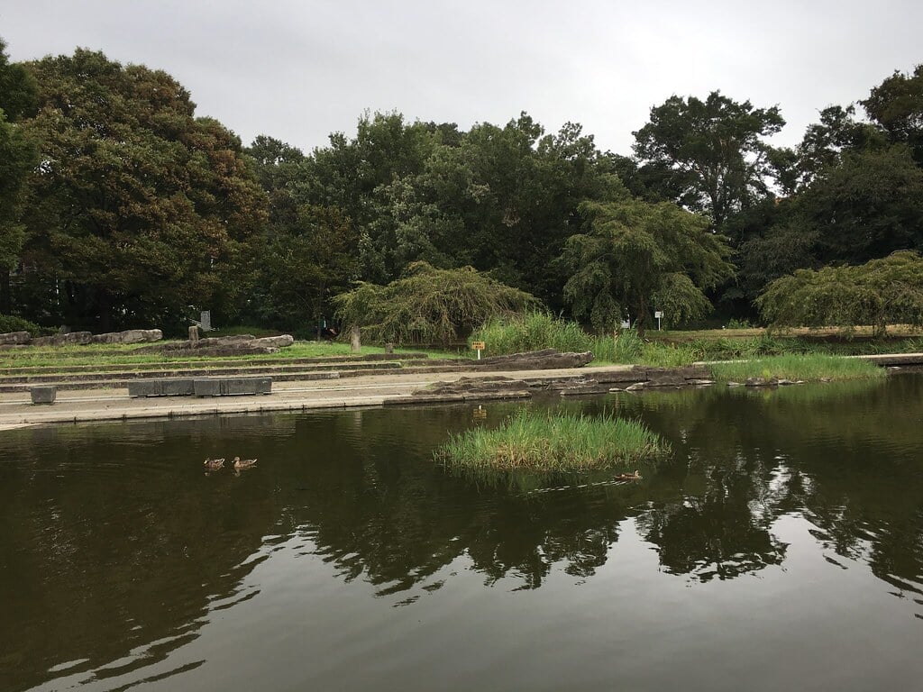 清瀬金山緑地公園の写真 ©Mikhail Kotykhov(CC BY 2.0)