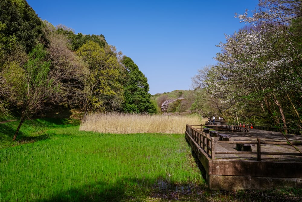 県立四季の森公園の写真 
