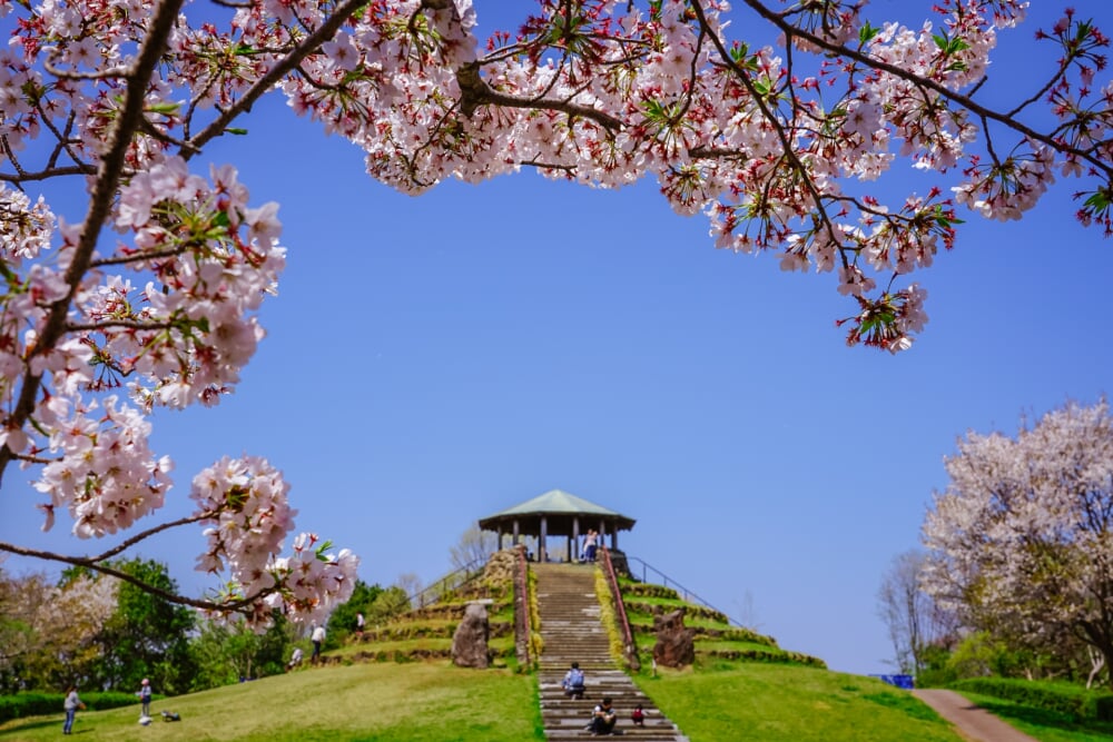 県立四季の森公園の写真 