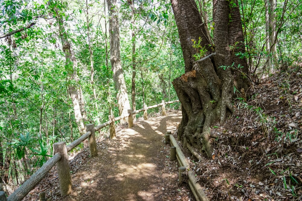 県立四季の森公園の写真 