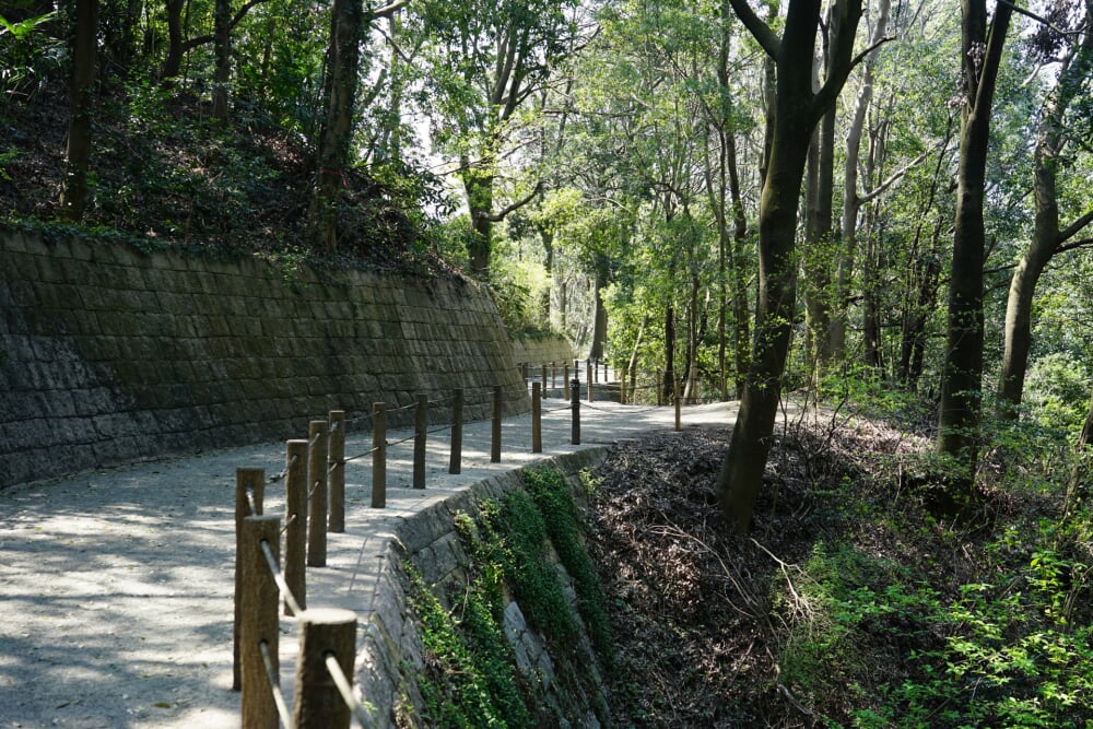 県立四季の森公園の写真 