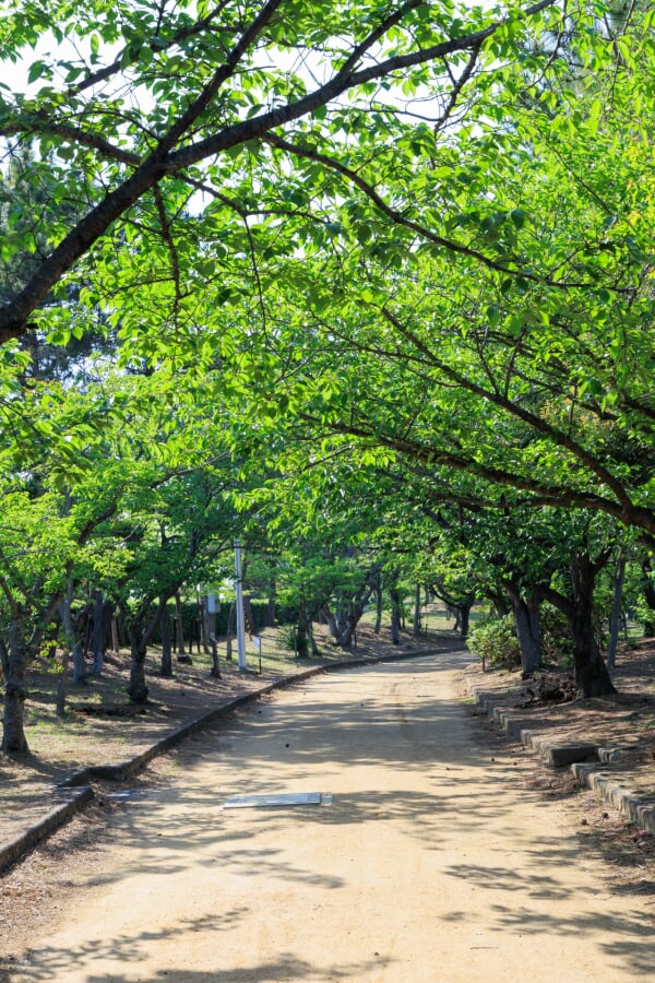 明石海浜公園の写真 
