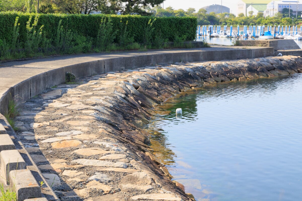 明石海浜公園の写真 