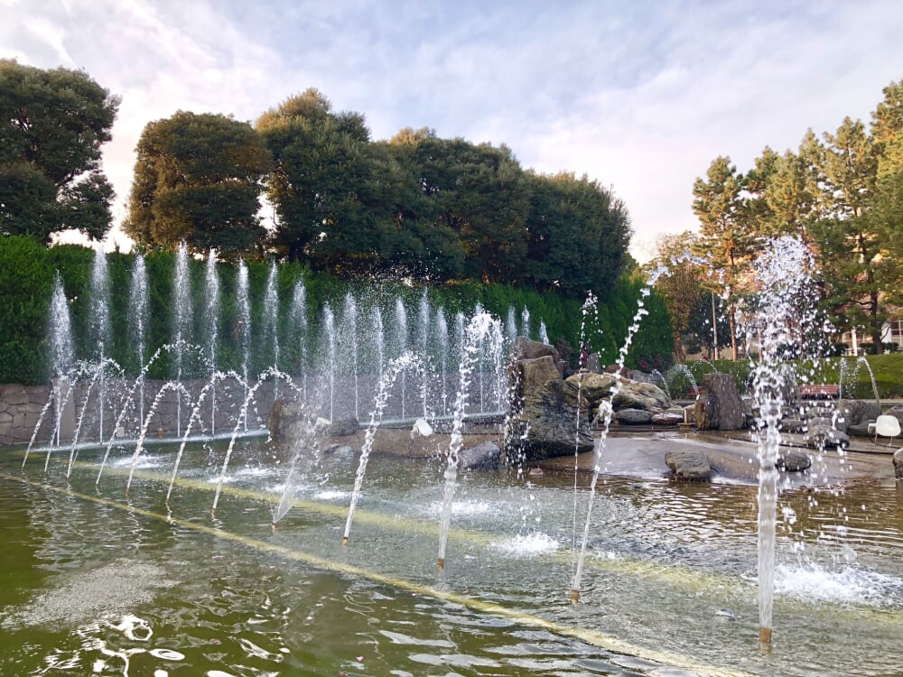 北浦和公園の写真 
