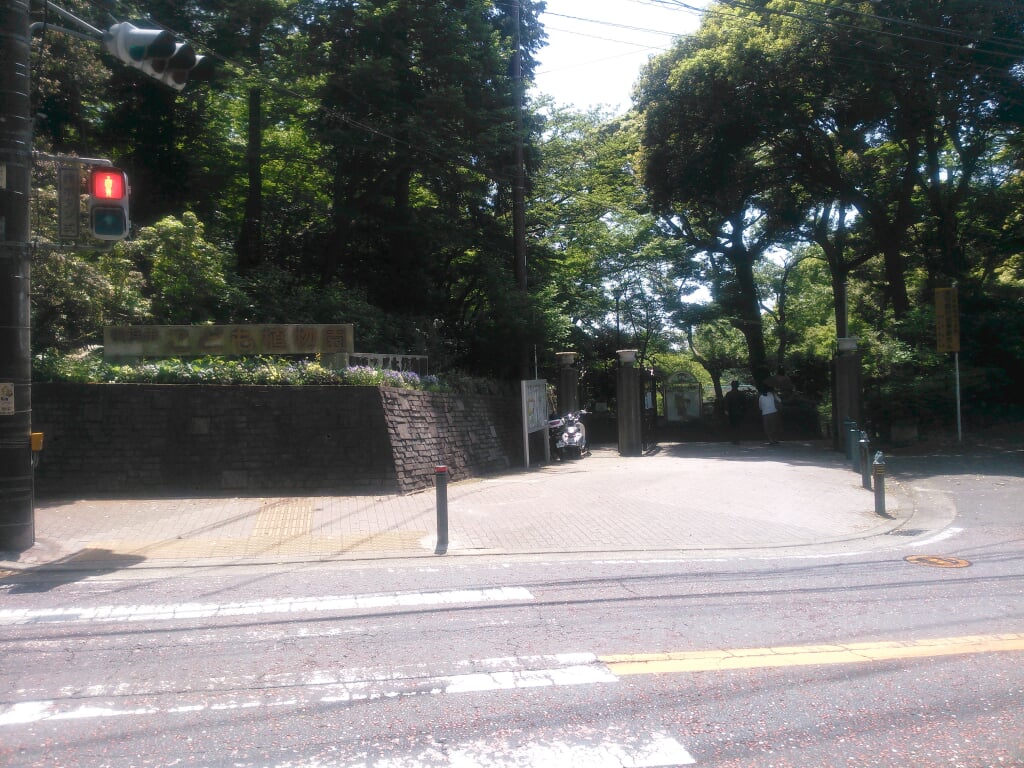 横浜市こども植物園の写真 ©妖精書士(CC0)