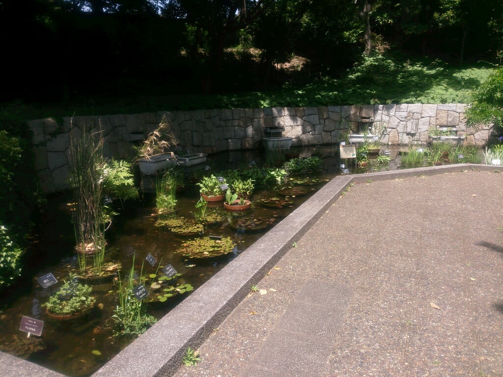 横浜市こども植物園の写真 ©妖精書士(CC0)
