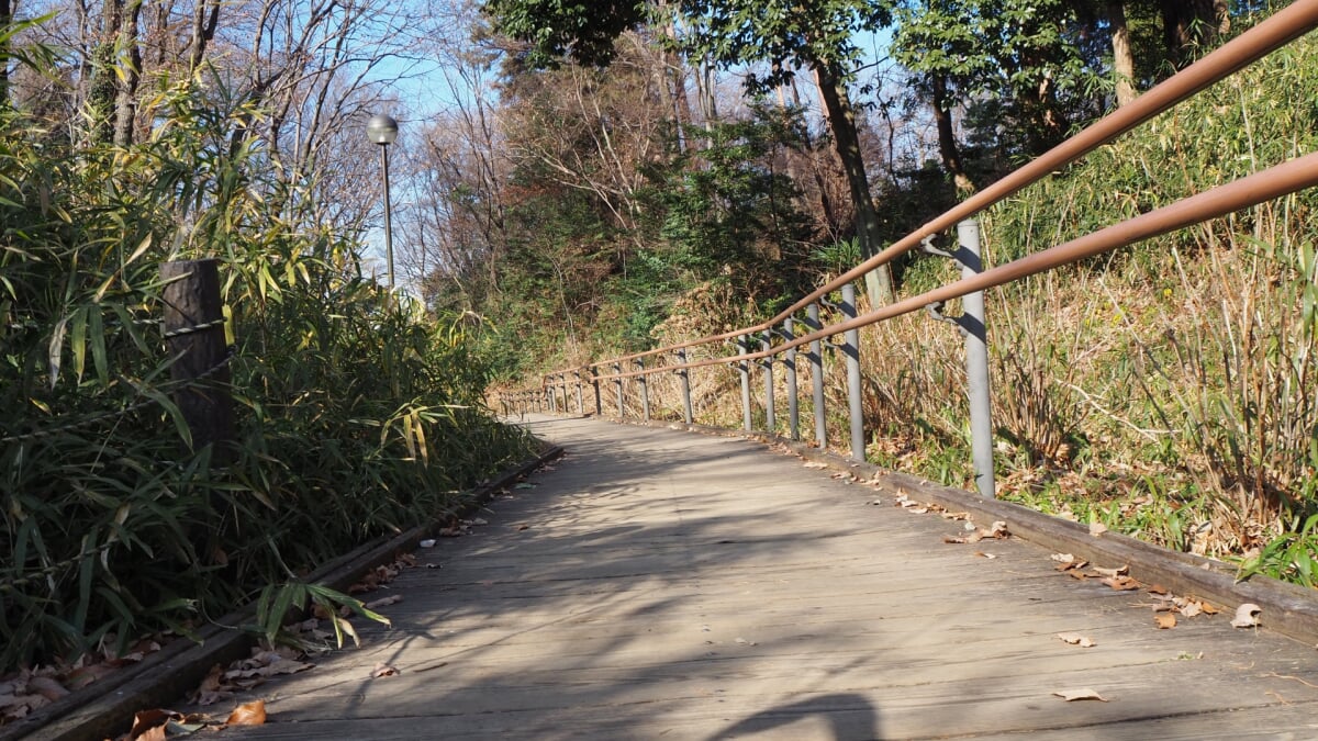 狭山稲荷山公園の写真 