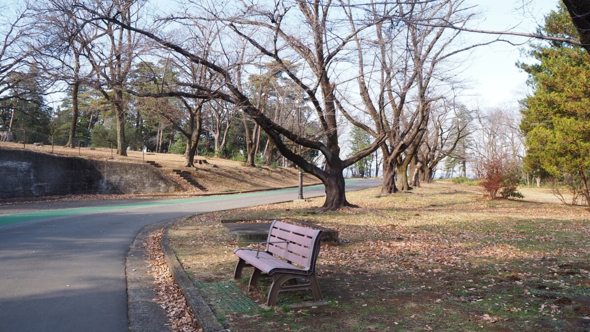 狭山稲荷山公園の写真 