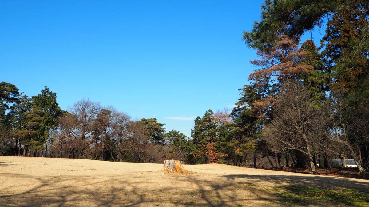 狭山稲荷山公園の写真 