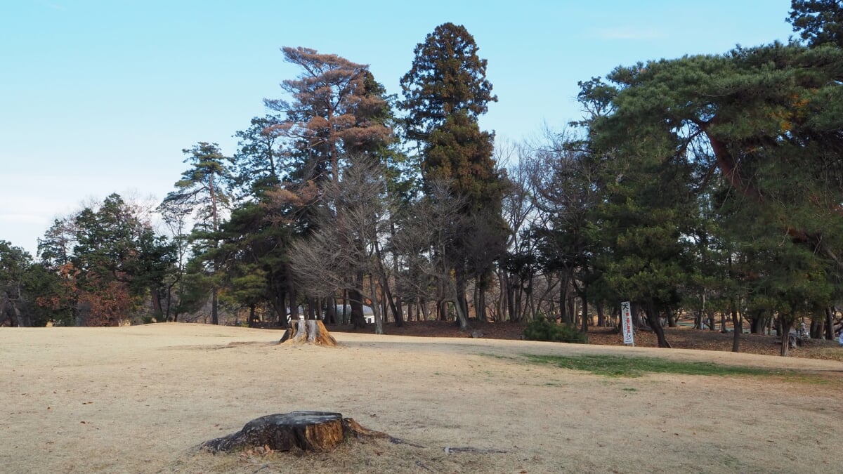 狭山稲荷山公園の写真 