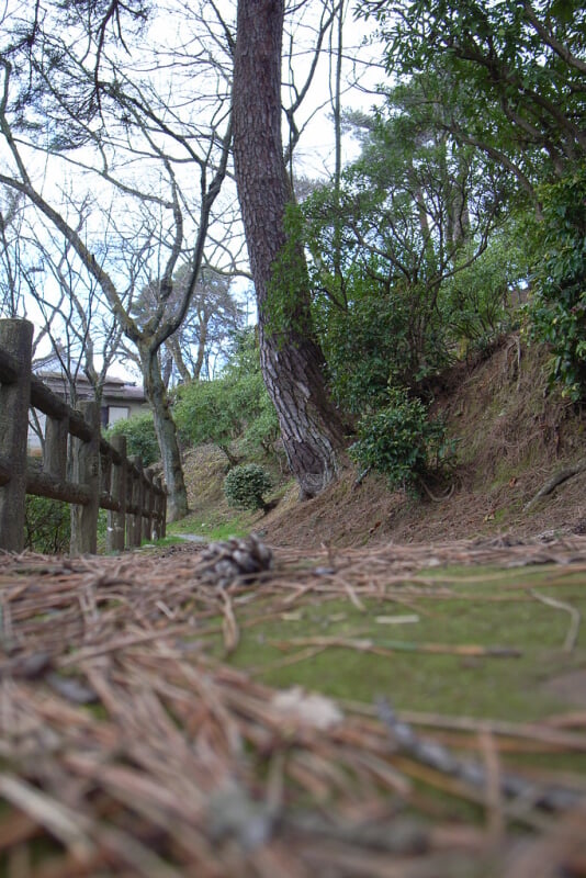 西山公園の写真 ©june29(CC BY 2.0)