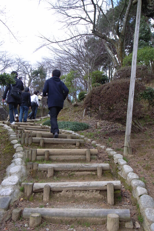 西山公園の写真 ©june29(CC BY 2.0)
