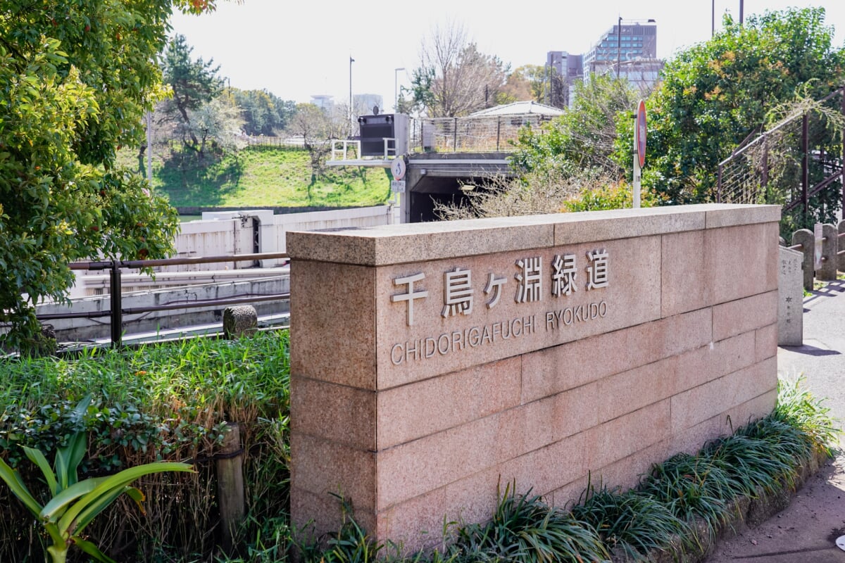 千鳥ケ淵公園の写真 