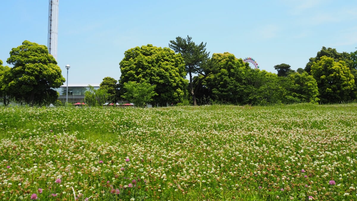 都立狭山公園の写真 