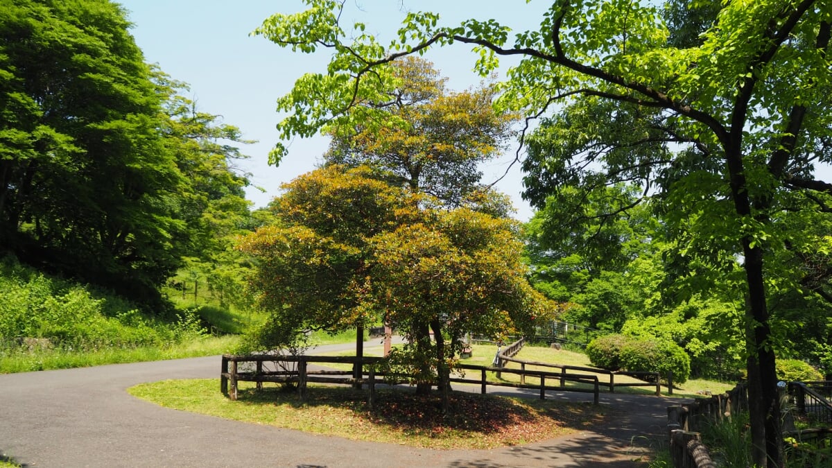 都立狭山公園の写真 