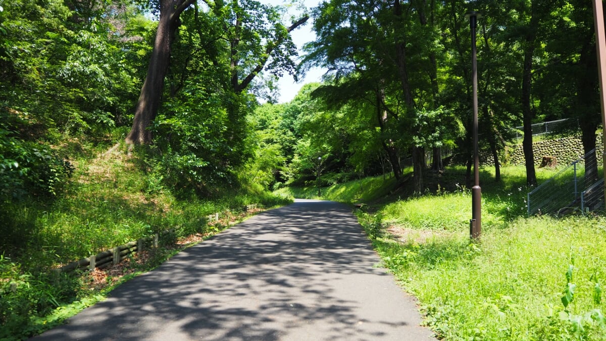 都立狭山公園の写真 
