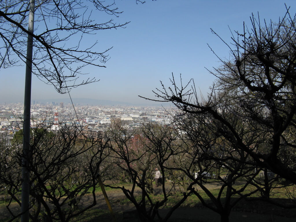 枚岡公園の写真 ©KENPEI(CC-BY-SA-3.0)
