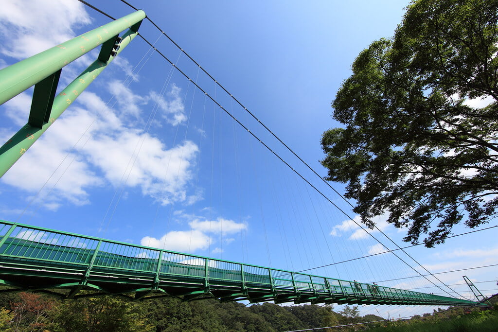 もみじ谷大吊橋の写真 ©TANAKA Juuyoh (田中十洋)(CC BY 2.0)