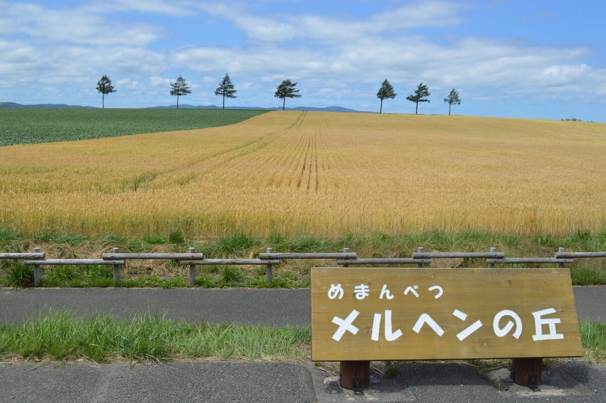 道の駅 メルヘンの丘めまんべつの写真 