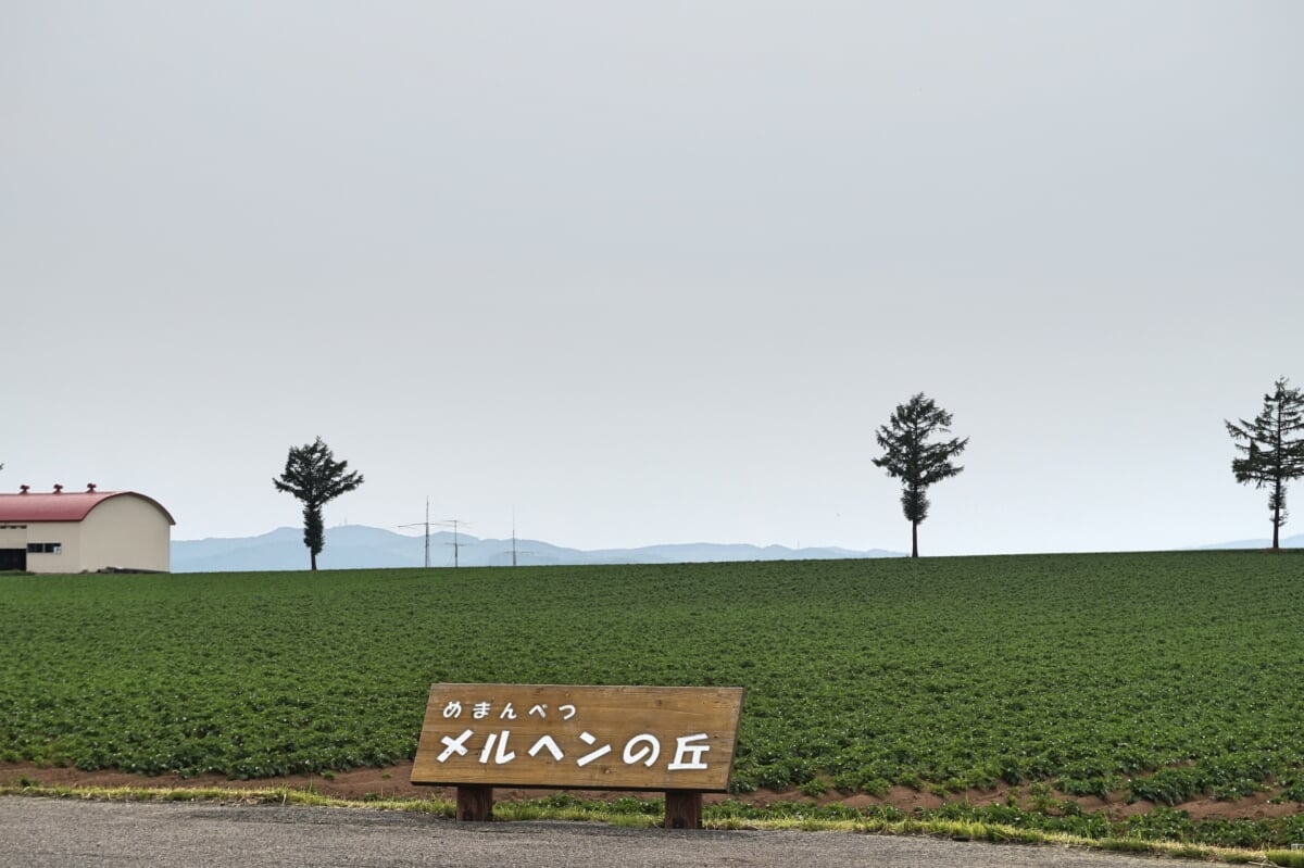 道の駅 メルヘンの丘めまんべつの写真 