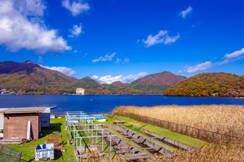 榛名湖の写真 