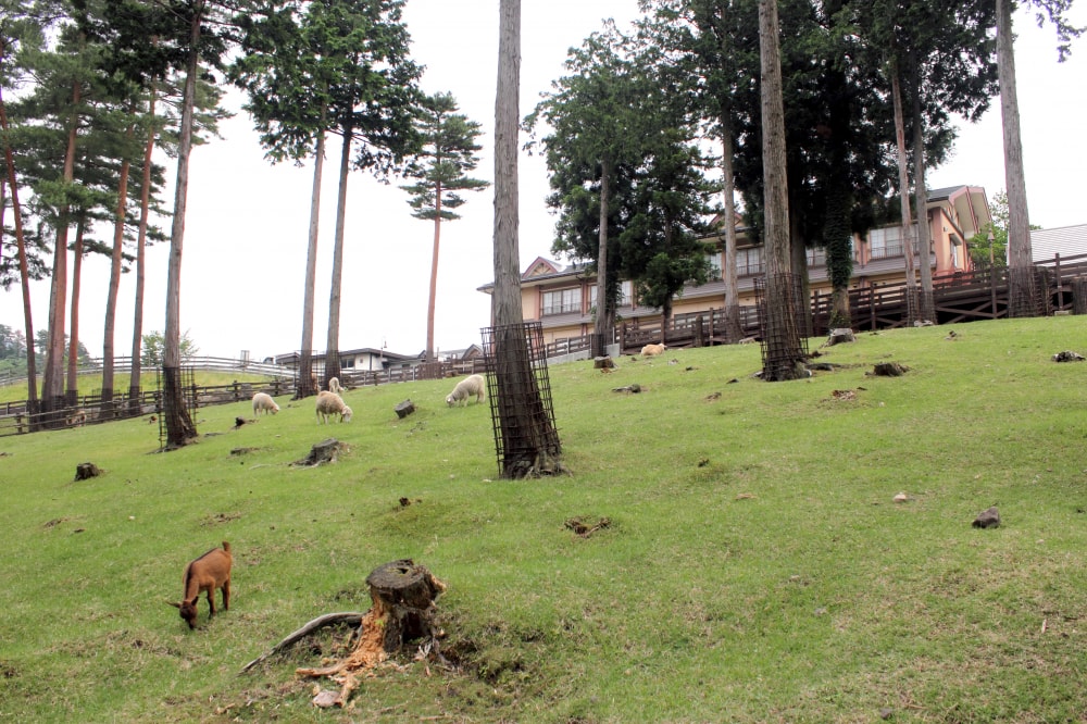 兵庫県立 但馬牧場公園の写真 ©流しのインストーラ(CC BY-SA 4.0)