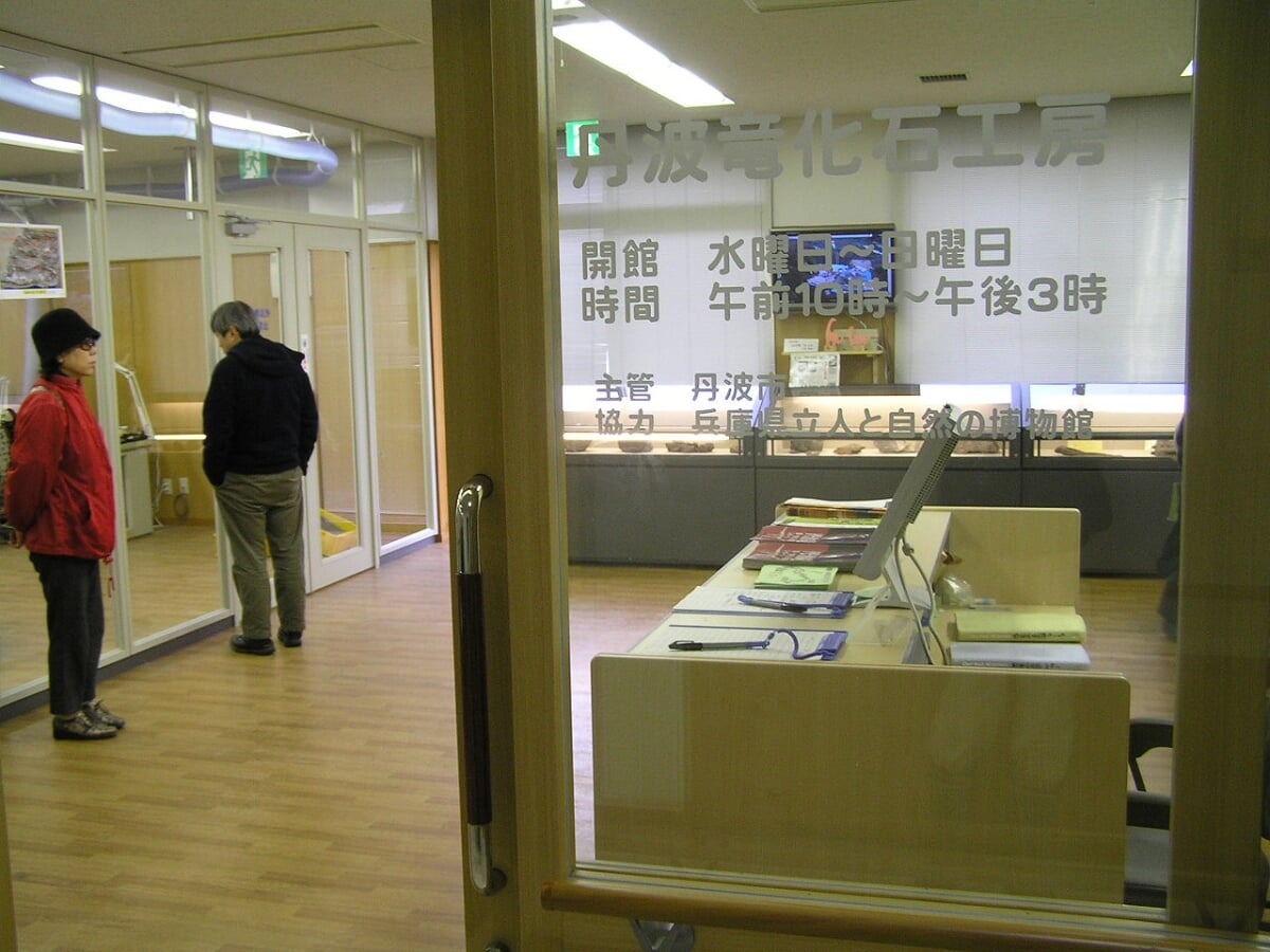 丹波竜化石工房 ちーたんの館の写真 ©南無観自在(CC BY-SA 3.0)