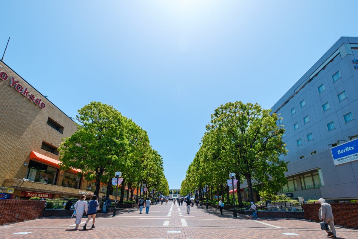 多摩センター パルテノン大通りの写真 