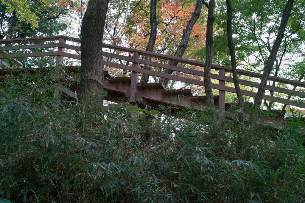 王禅寺ふるさと公園の写真 ©珈琲牛乳(CC BY 3.0)