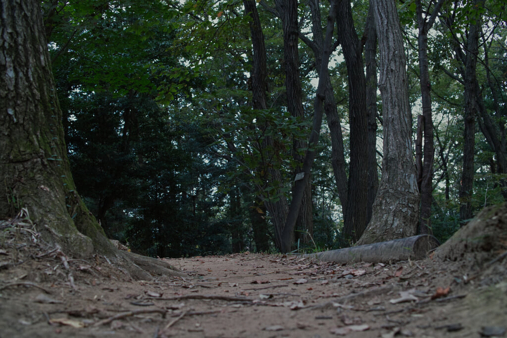 王禅寺ふるさと公園の写真 ©珈琲牛乳(CC BY 3.0)