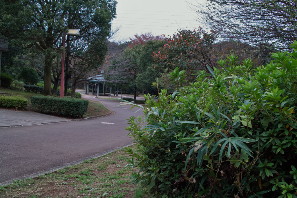 王禅寺ふるさと公園の写真 ©珈琲牛乳(CC BY 3.0)