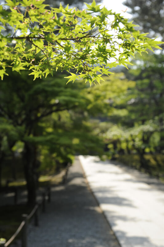南禅寺の写真 ©BONGURI(CC BY-ND 2.0)