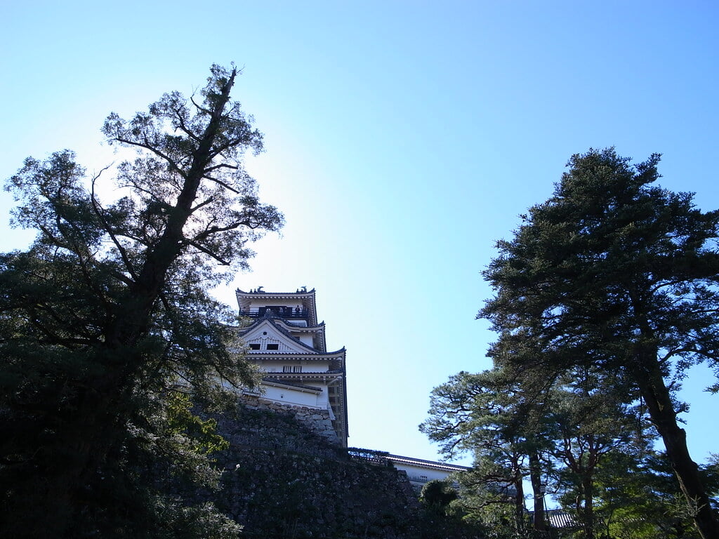 高知城の写真 ©00_4(CC BY 2.0)