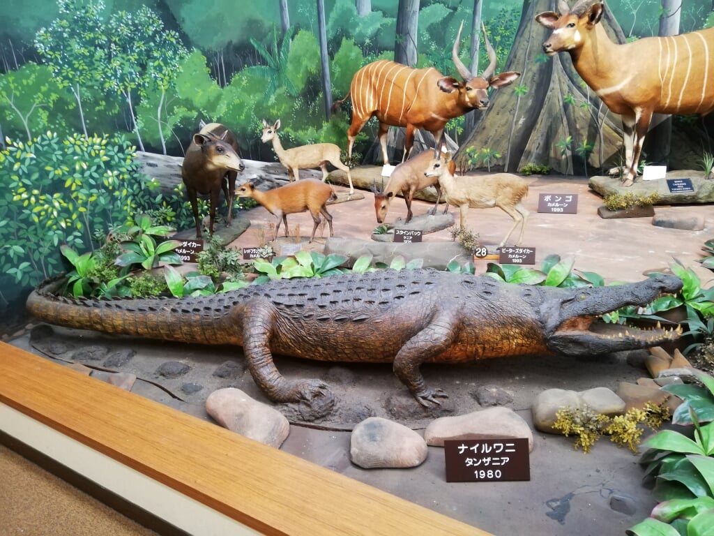 滋賀サファリ博物館の写真 ©先従隗始(CC0)