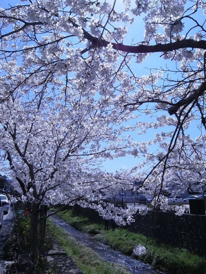 一の坂川の写真 ©kagawa_ymg(CC BY 2.0)