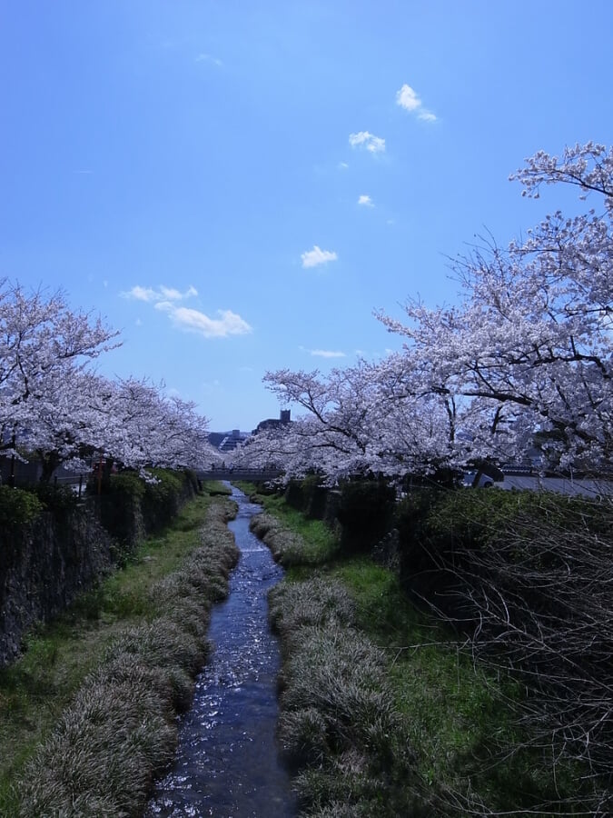 一の坂川の写真 ©kagawa_ymg(CC BY 2.0)