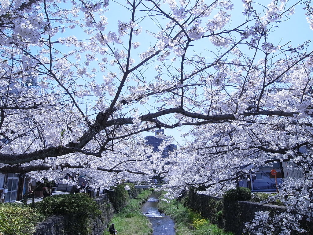 一の坂川の写真 ©kagawa_ymg(CC BY 2.0)