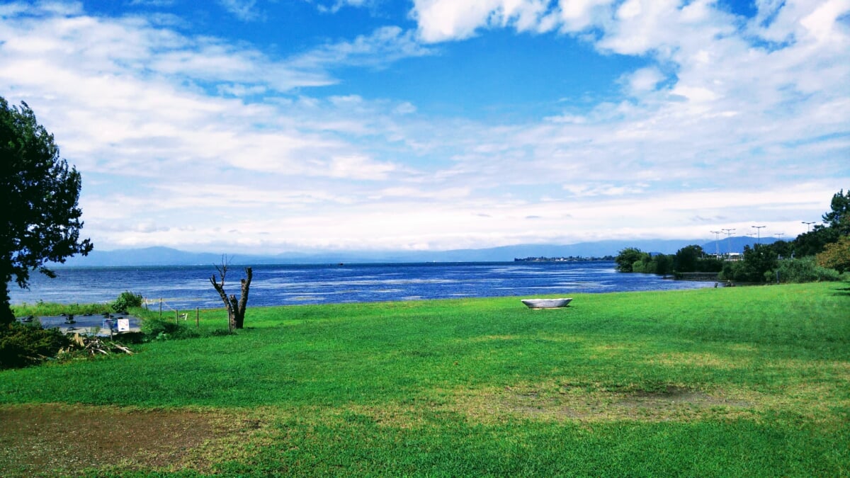 豊公園(長浜城)の写真 