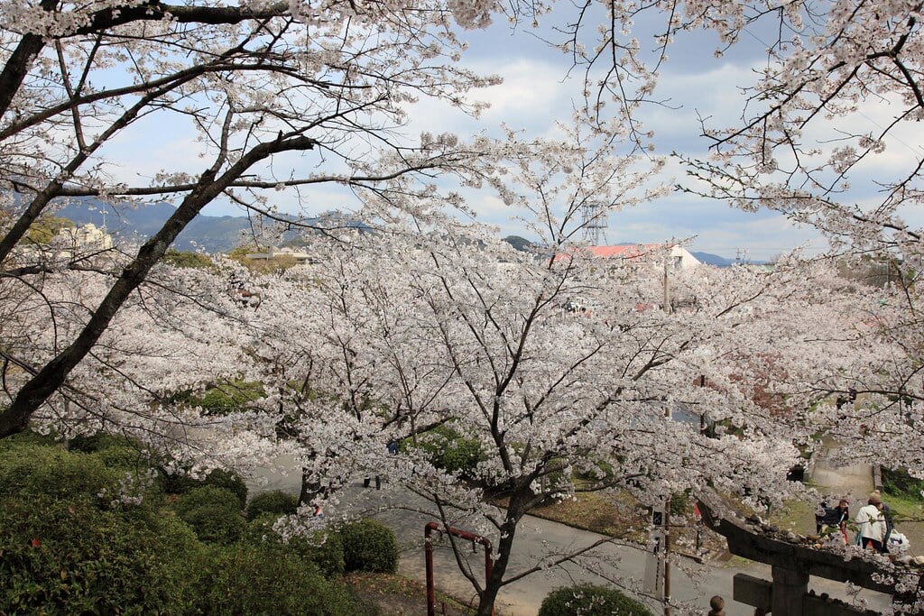 小城公園の写真 ©gtknj(CC BY 2.0)