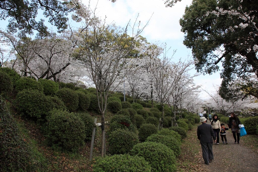 小城公園の写真 ©gtknj(CC BY 2.0)